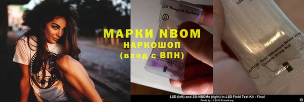 мдпв Алзамай