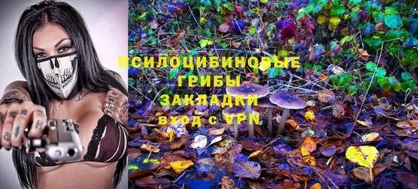 гидропоника Гусь-Хрустальный