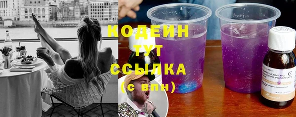 spice Гусев